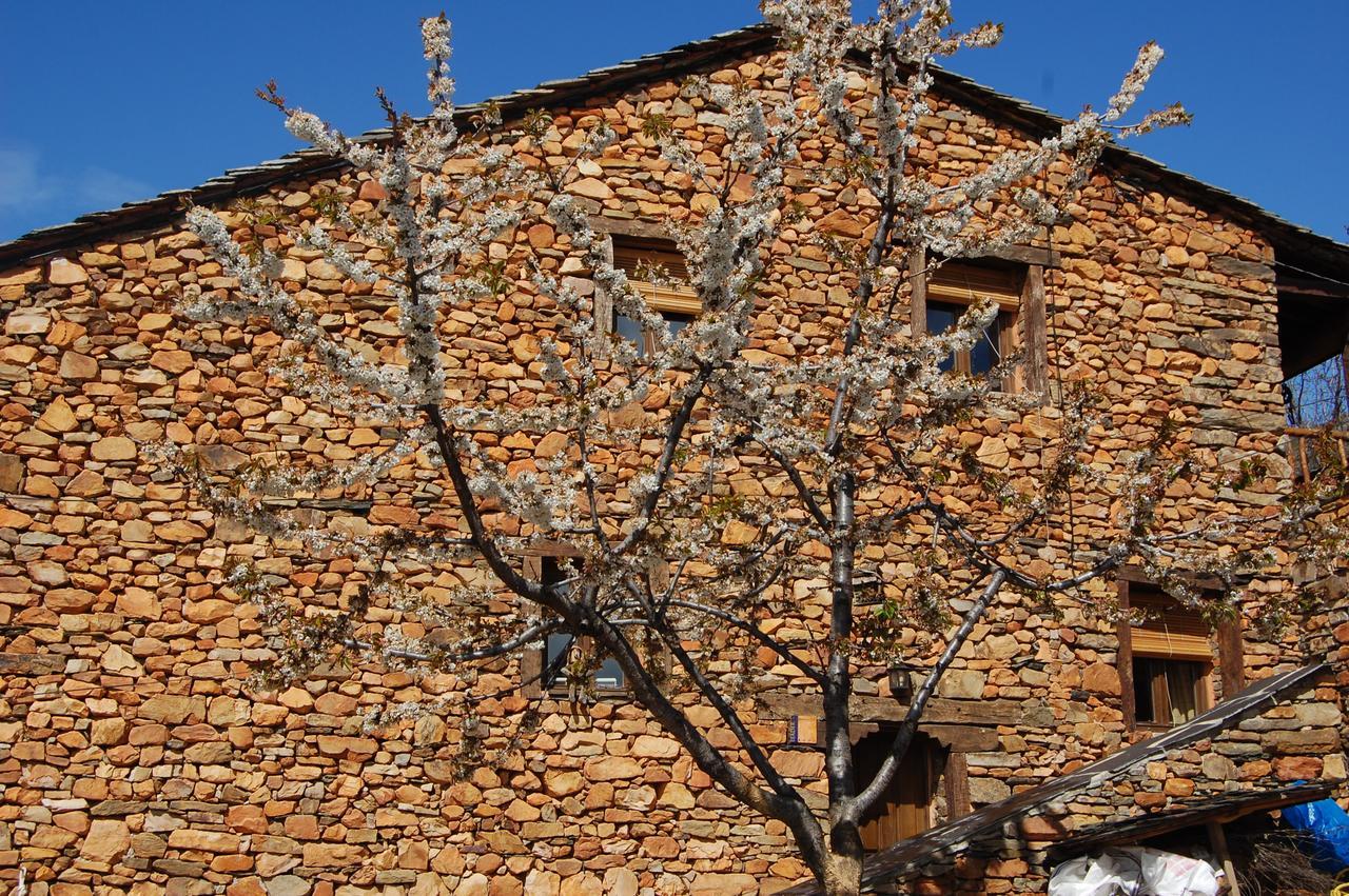Apartamentos Turisticos La Alqueria De Valverde Valverde De Los Arroyos Dış mekan fotoğraf